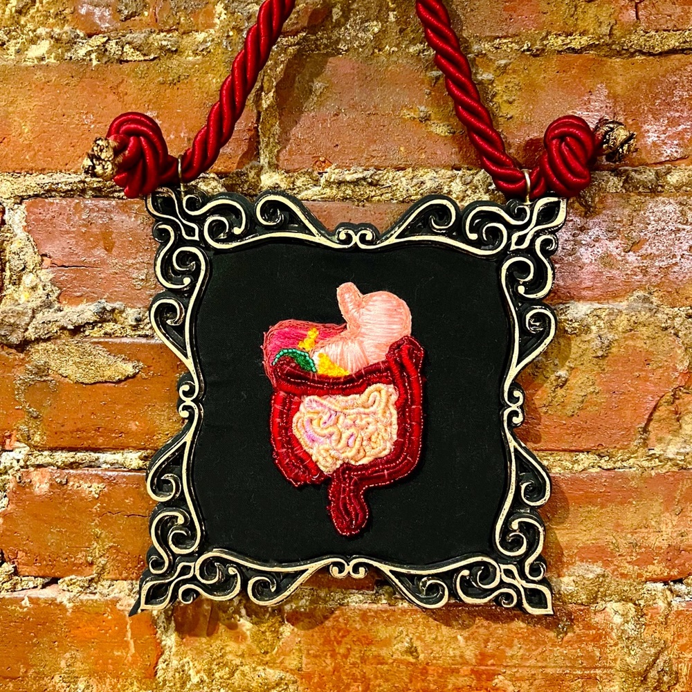 Hand Embroidery intestinal anatomy